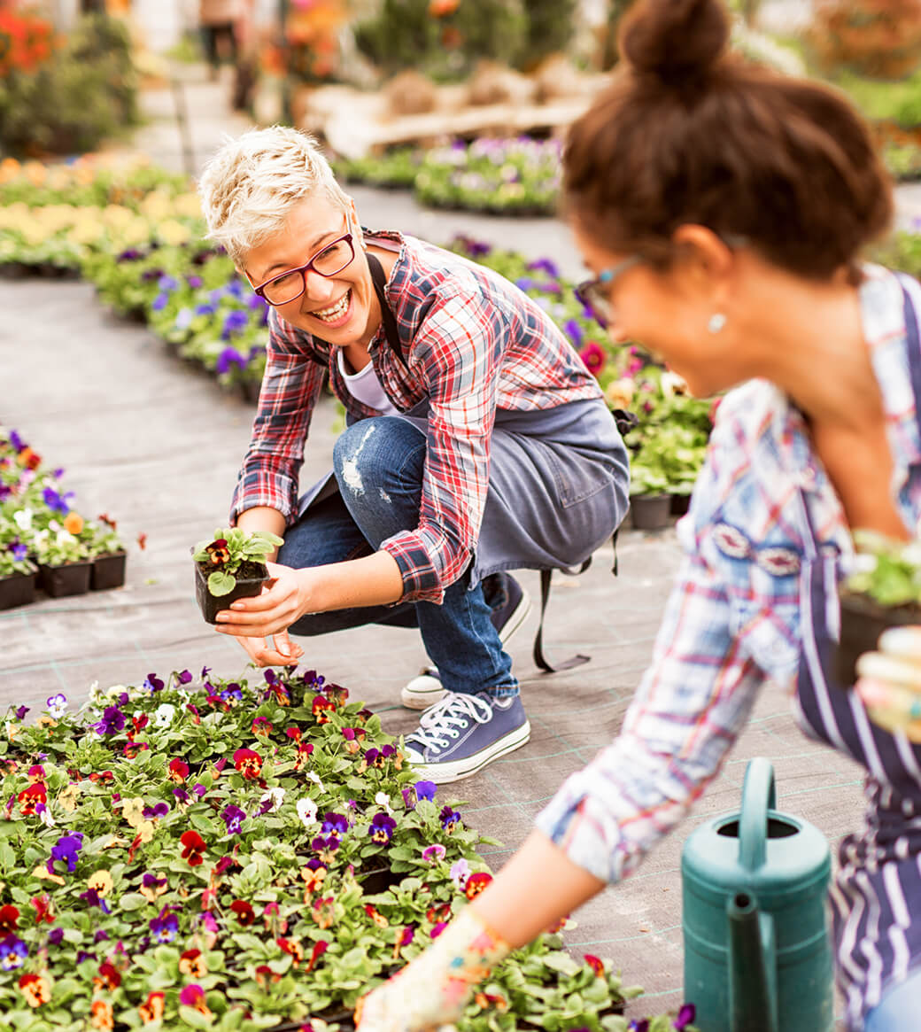 Get business line of credit to grow your small business